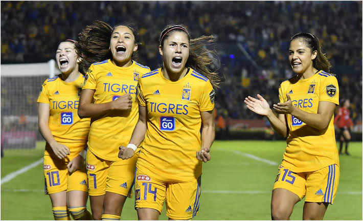 Tigres, primer finalista del Apertura 2019